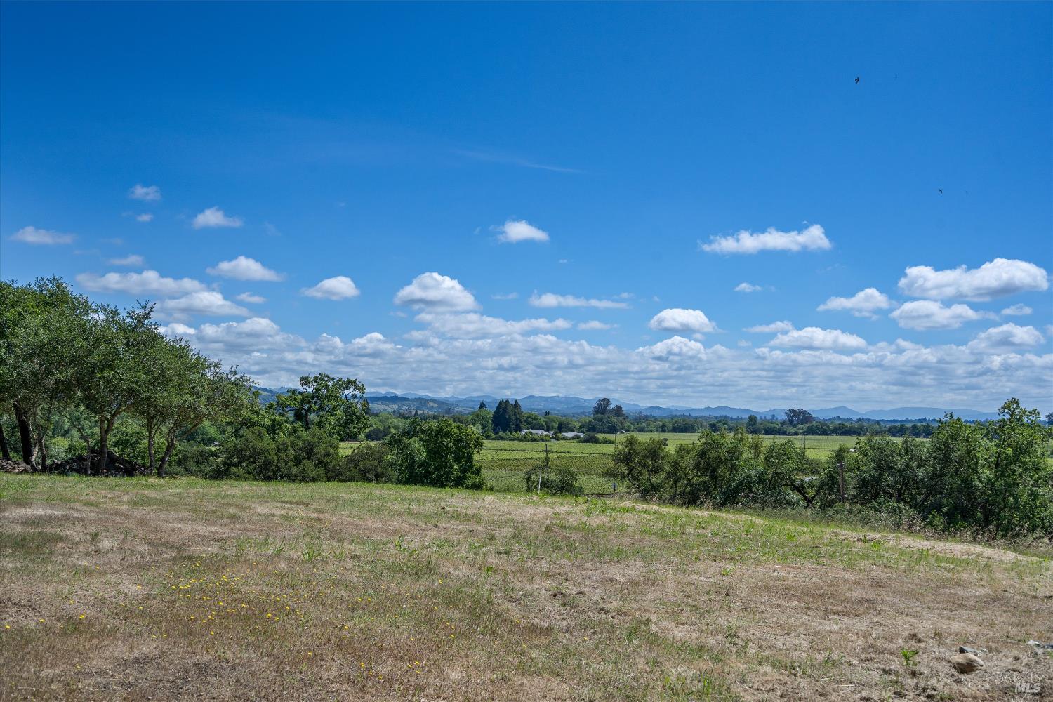 1077 Westside Road Healdsburg, CA 95448 - Photo 28 of 48 a view of a field with a tree in the background