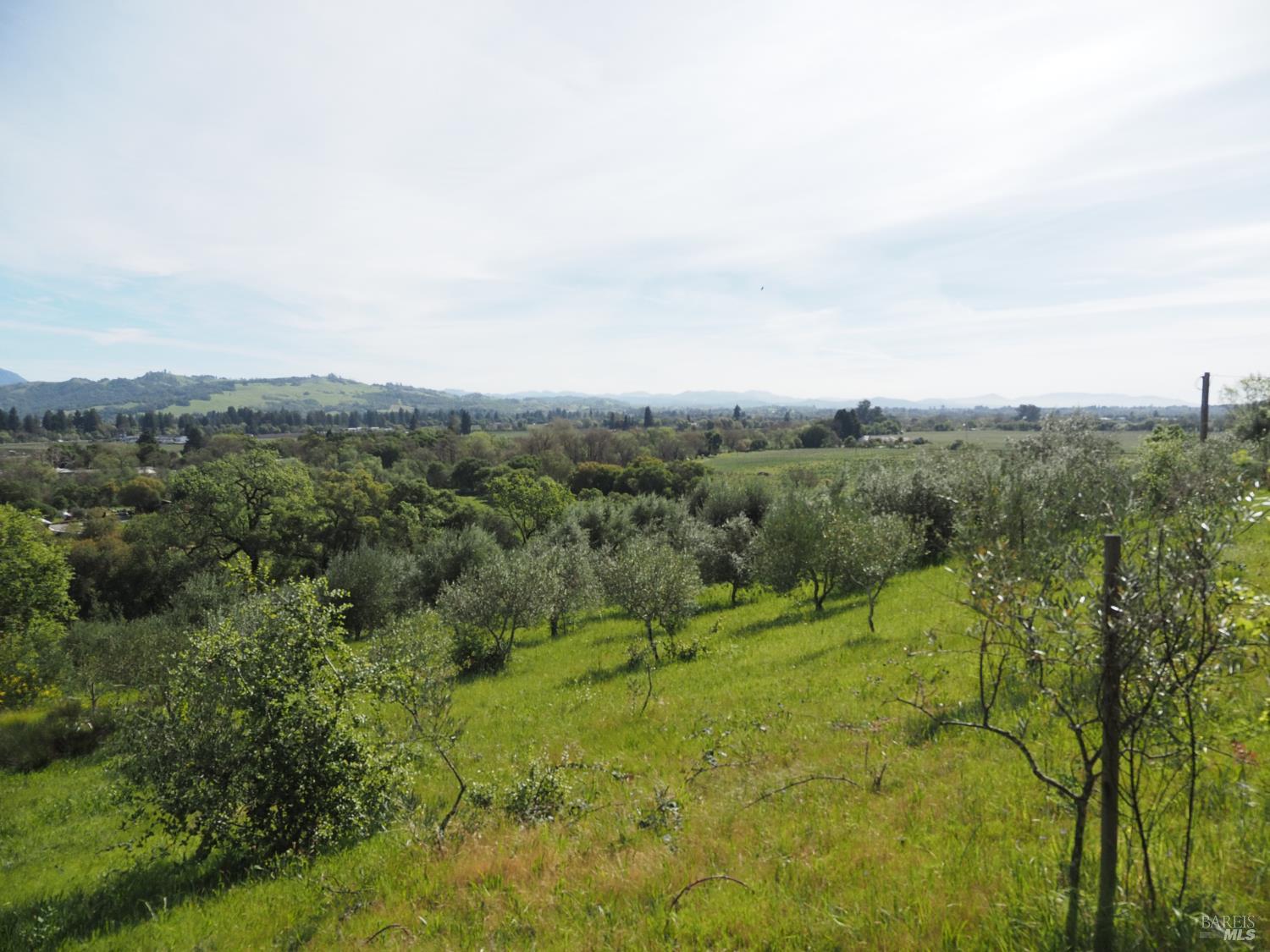 1077 Westside Road Healdsburg, CA 95448 - Photo 32 of 48 a view of a green field with lots of bushes