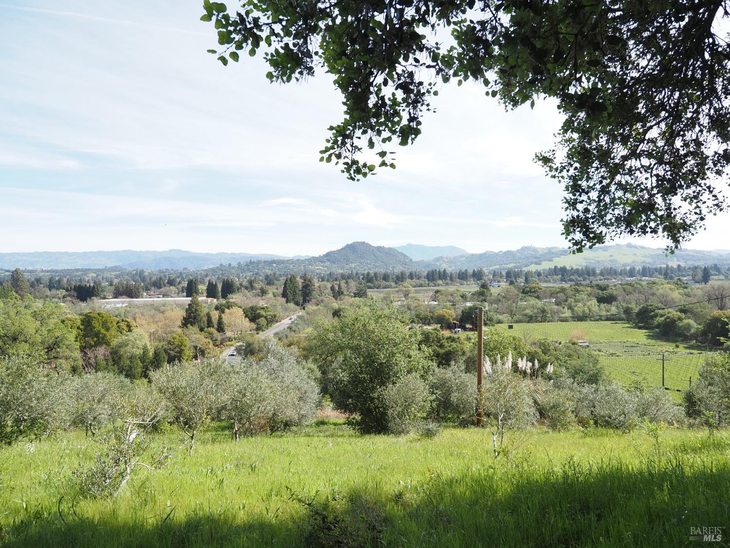 1077 Westside Road Healdsburg, CA 95448 - Photo 38 of 48 a view of lake with green space