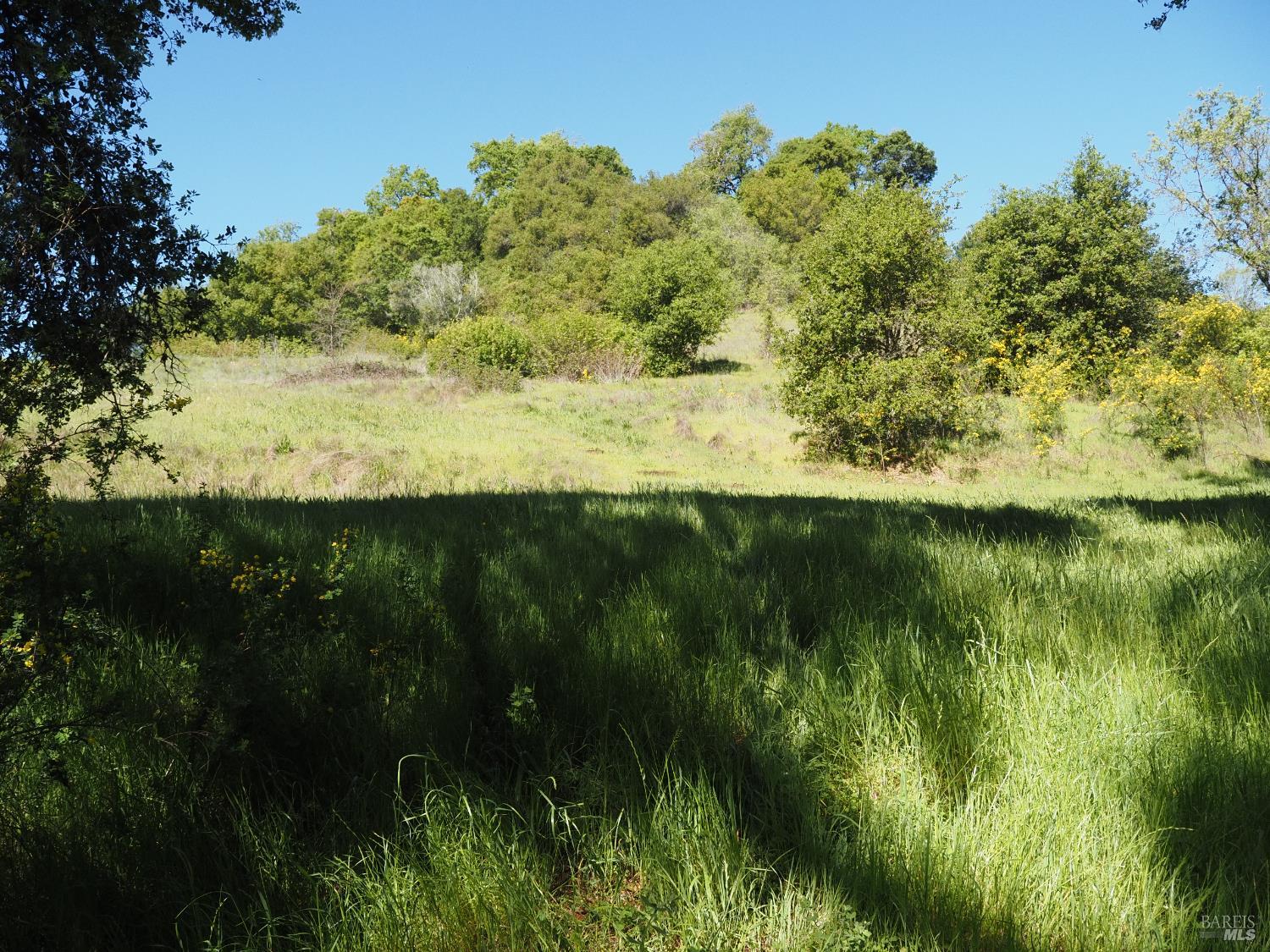 1077 Westside Road Healdsburg, CA 95448 - Photo 39 of 48 a view of a lake with a yard
