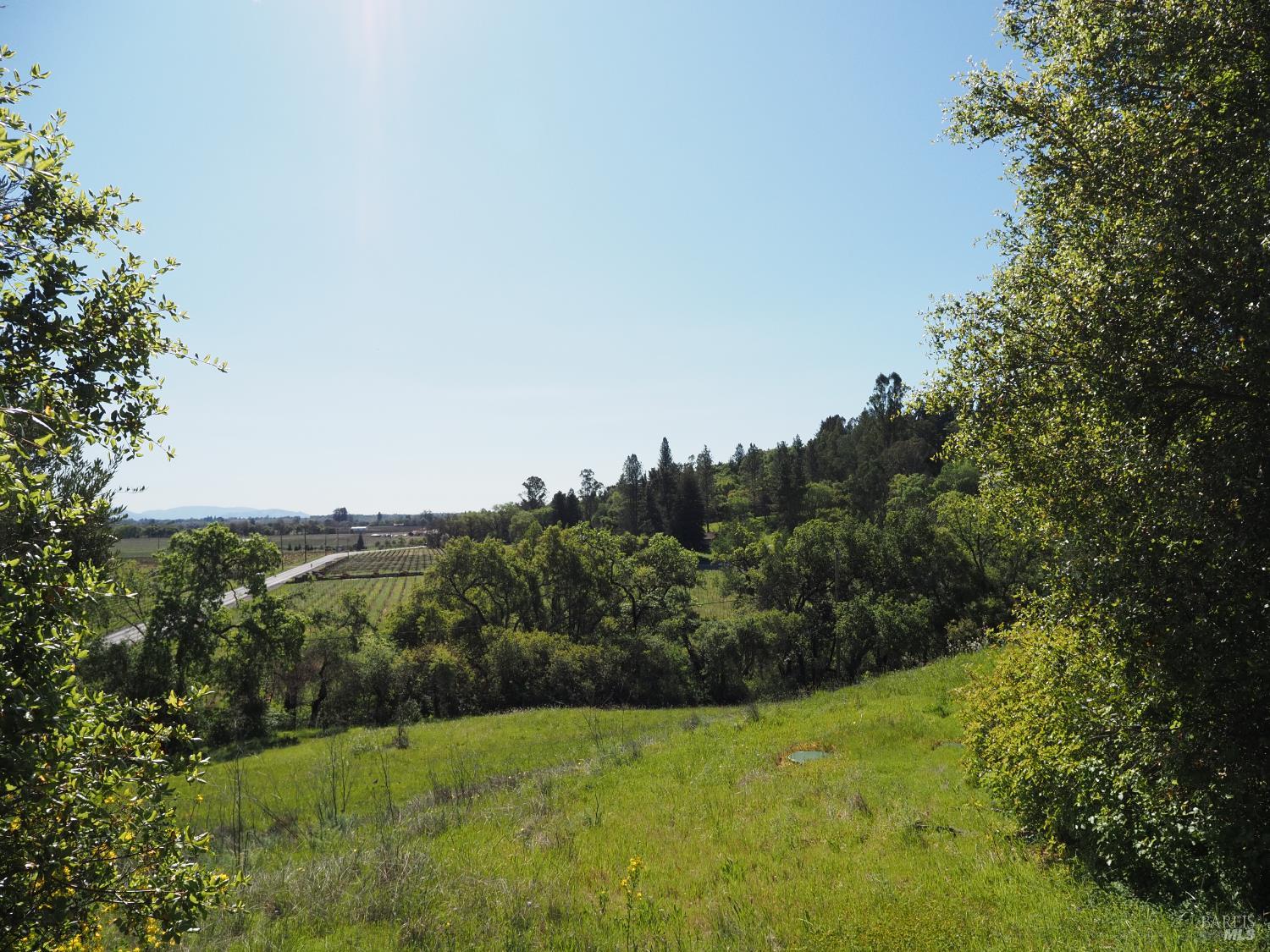1077 Westside Road Healdsburg, CA 95448 - Photo 40 of 48 a view of a green field with lots of bushes