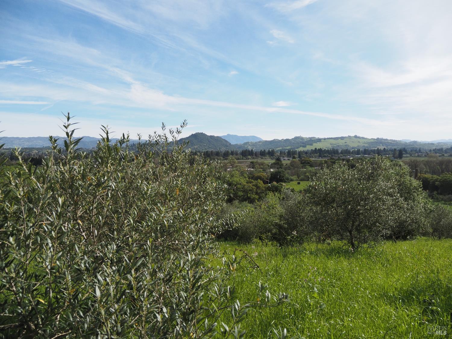 1077 Westside Road Healdsburg, CA 95448 - Photo 42 of 48 a view of a green field with lots of bushes