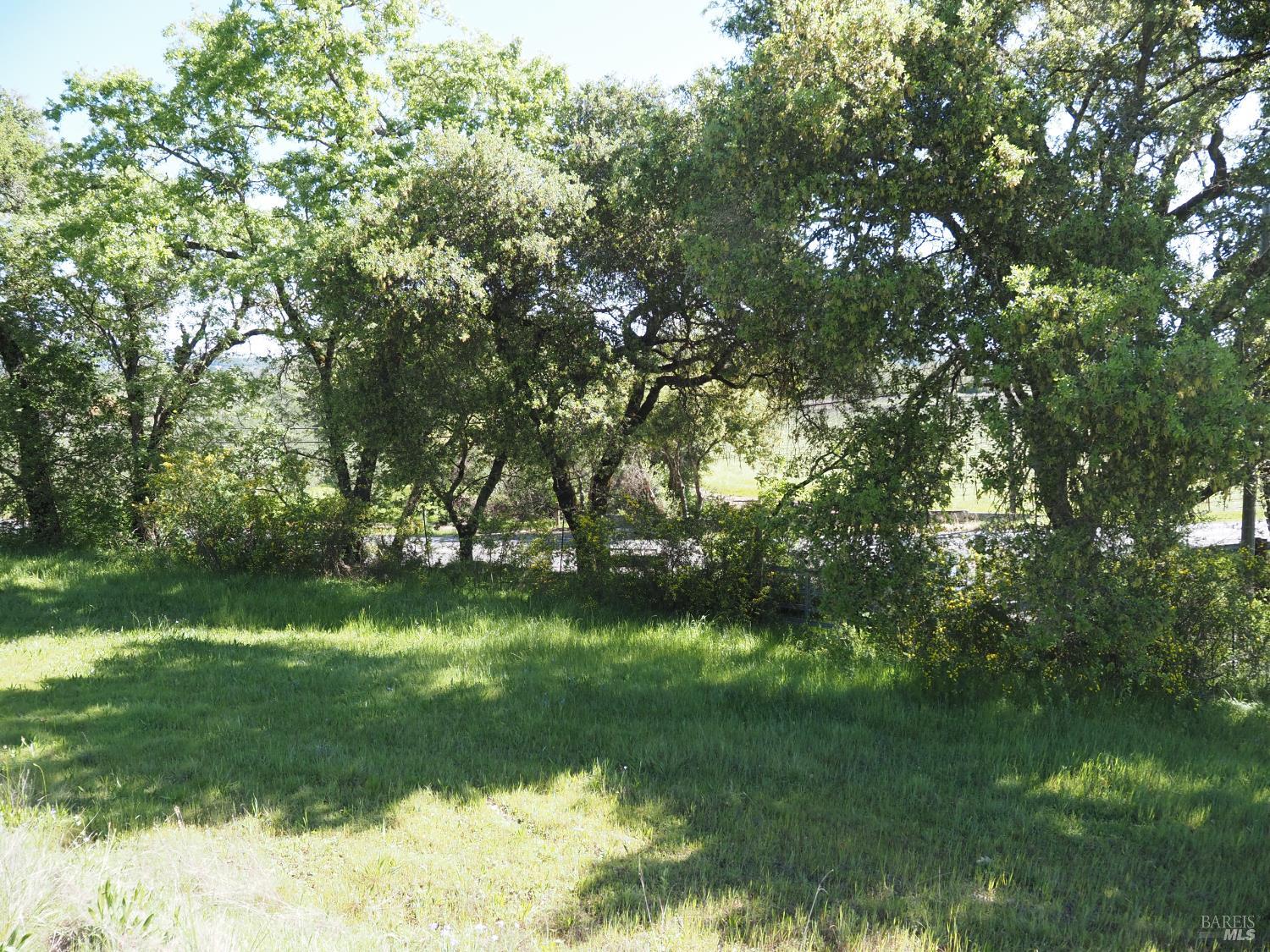 1077 Westside Road Healdsburg, CA 95448 - Photo 44 of 48 a view of a yard with a tree