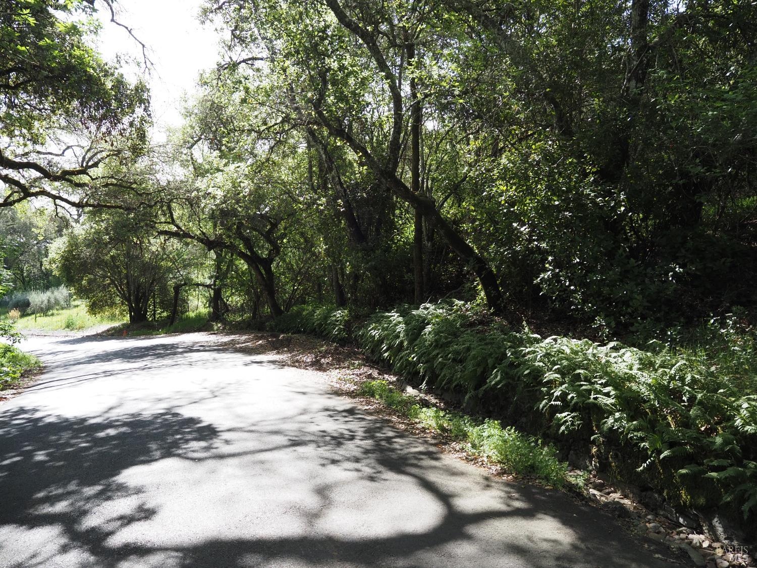 1077 Westside Road Healdsburg, CA 95448 - Photo 45 of 48 a view of a tree with a yard