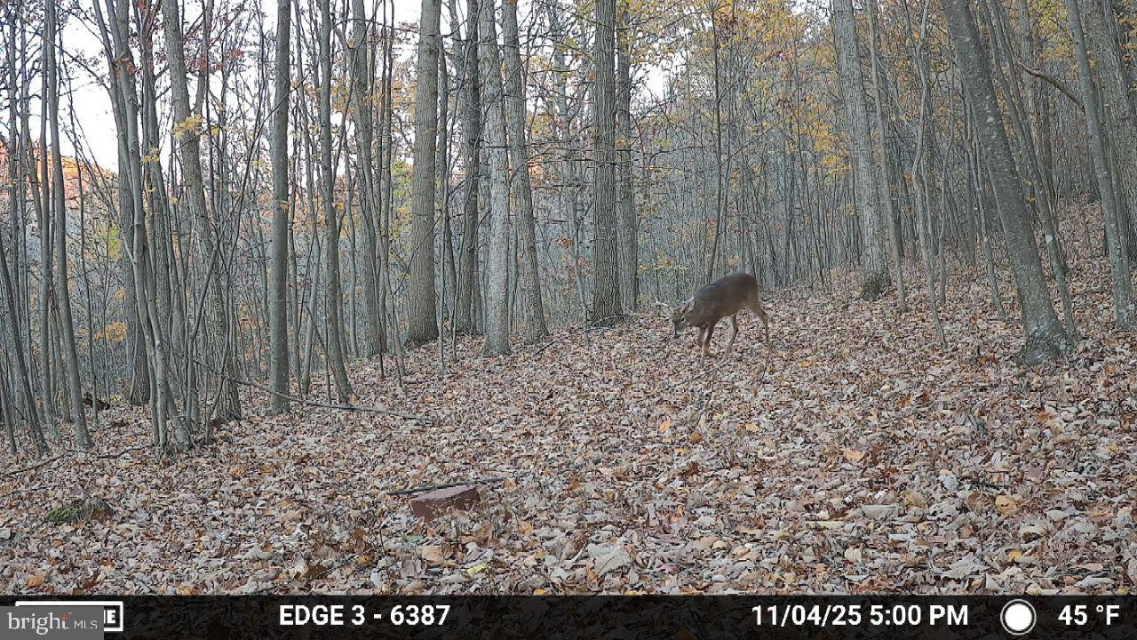 8620 Monns Gap Road Waynesboro, PA 17268 - Photo 77 of 99 Gallery Image 77