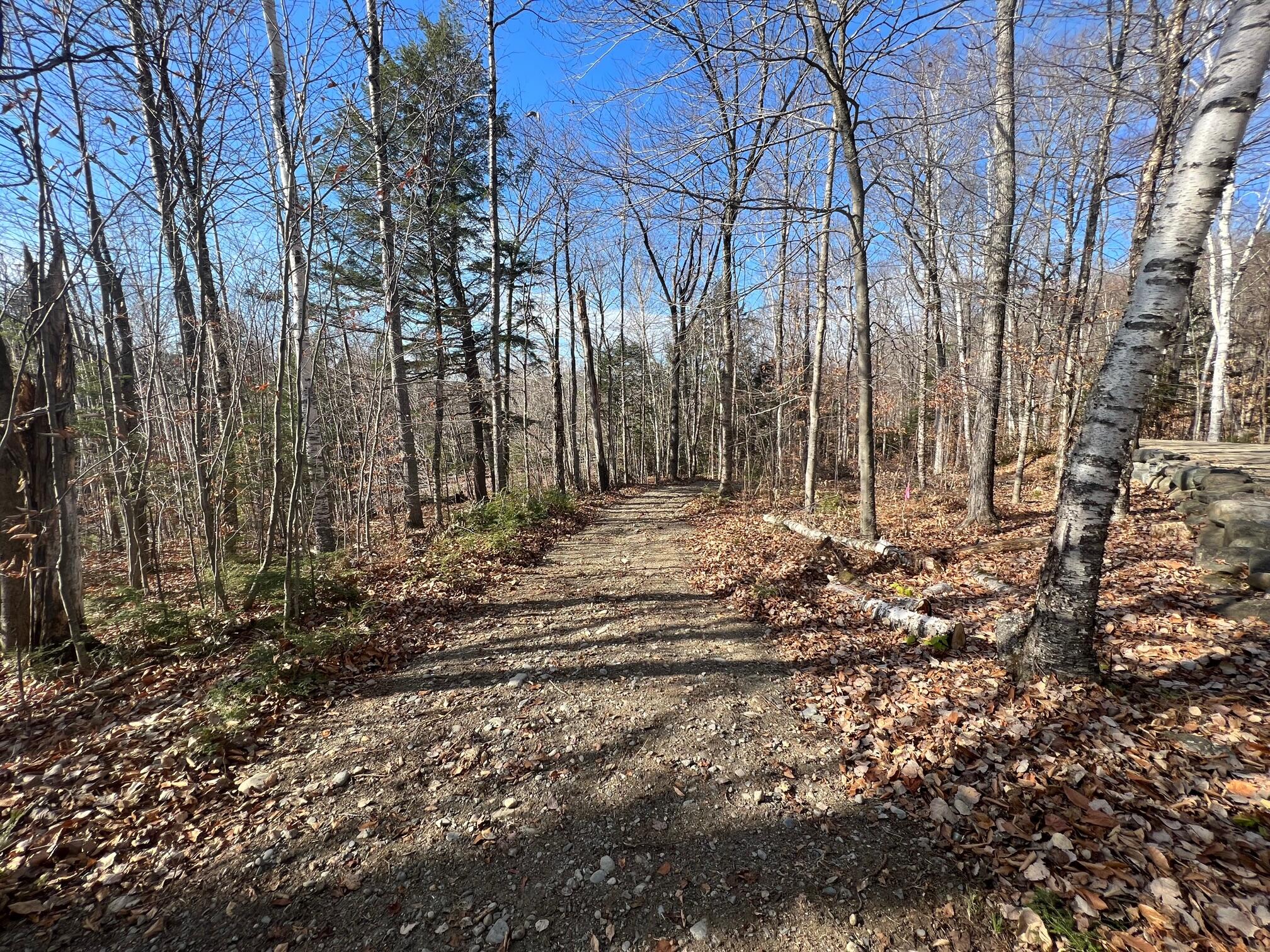 Tbd Bodfish Valley Road Guilford, ME 04443 - Photo 7 of 18 7