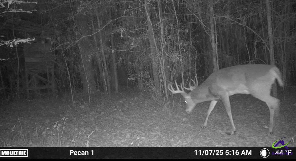 9036 Bullard Road Dry Branch, GA 31020 - Photo 36 of 72