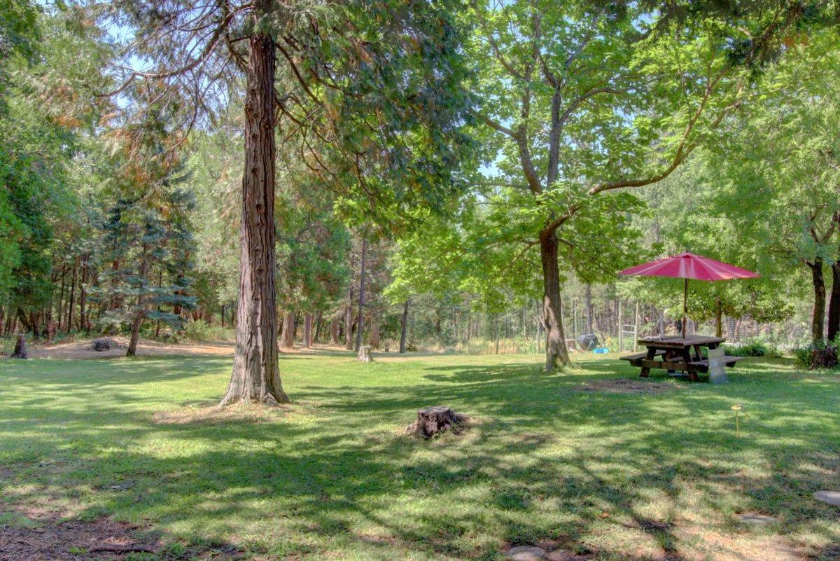 770 Hitching Post Road Grants Pass, OR 97526 - Photo 23 of 29 a view of a park with a tree