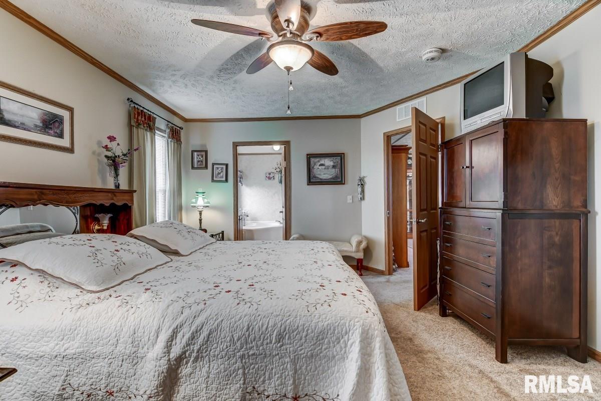11635 Maurer Road Buffalo, IL 62515 - Photo 21 of 50 Gallery Image 21