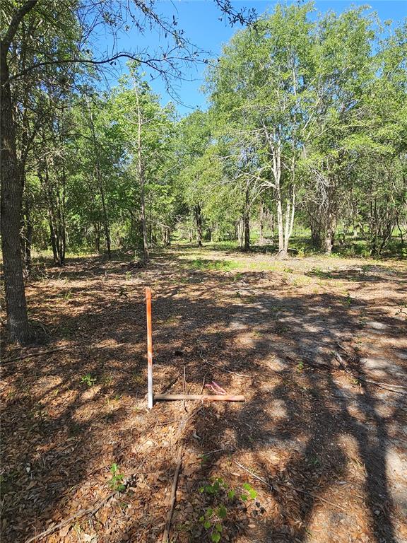 0 Southwest Mixson Road Lake City, FL 32024 - Photo 32 of 34 Gallery Image 32