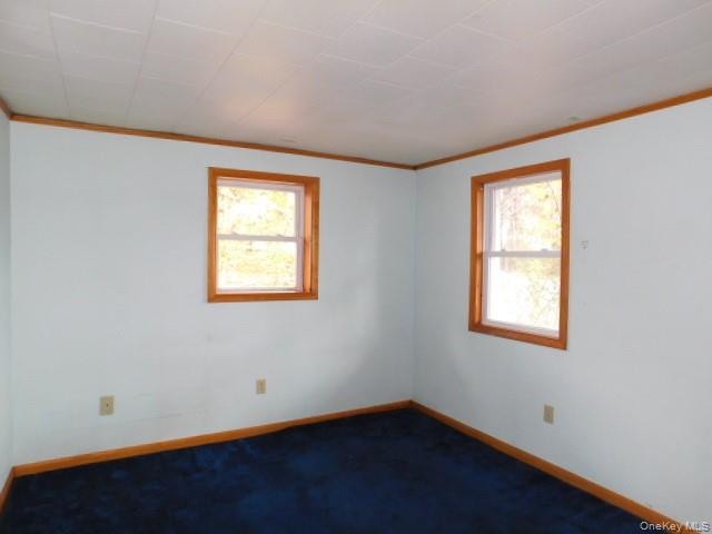 247 Plattekill Ardonia Road Wallkill, NY 12589 - Photo 19 of 20 br 2