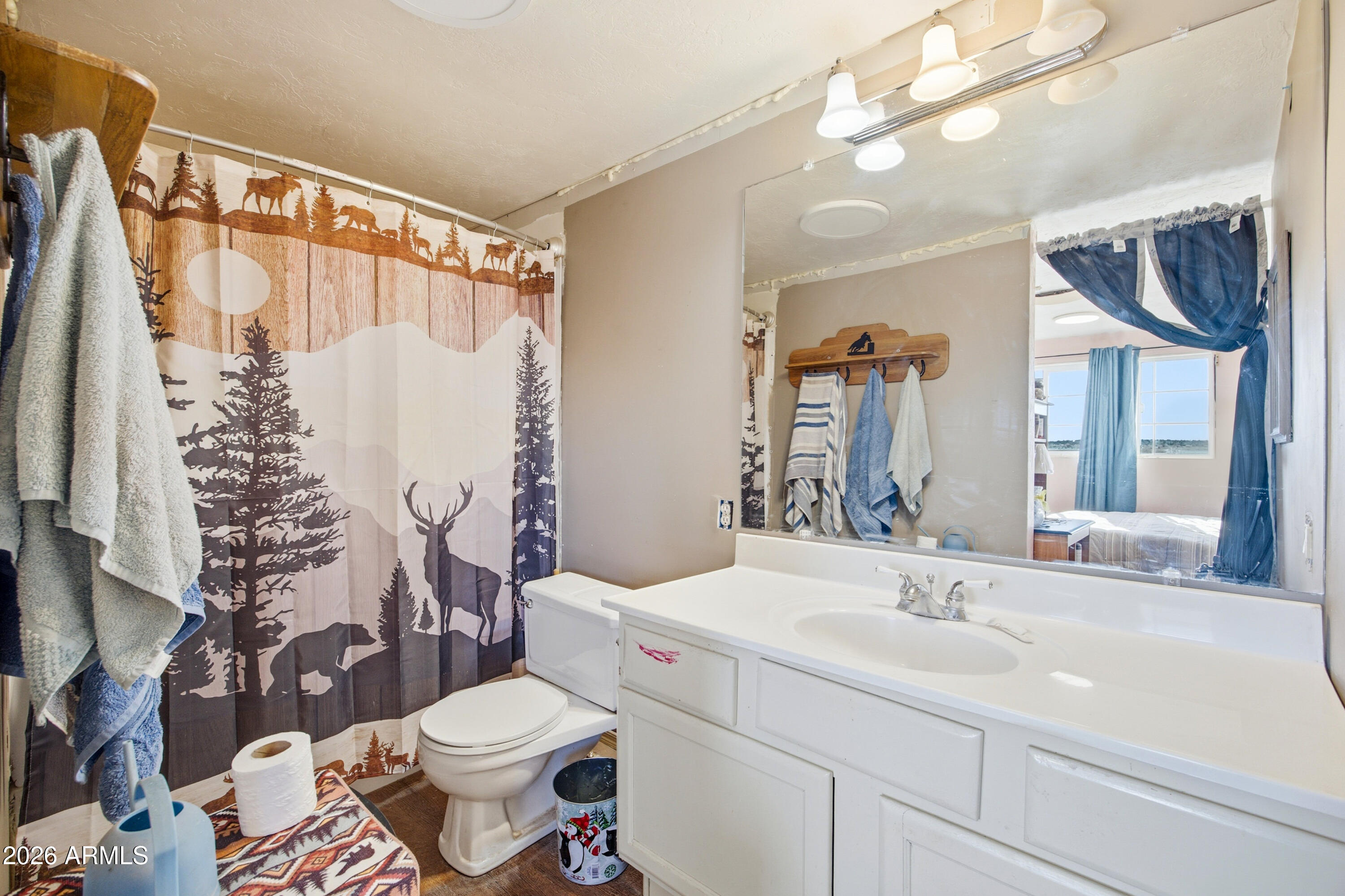 4394 Keats Road, Unit 52 Snowflake, AZ 85937 - Photo 16 of 33 a bathroom with a sink toilet and shower