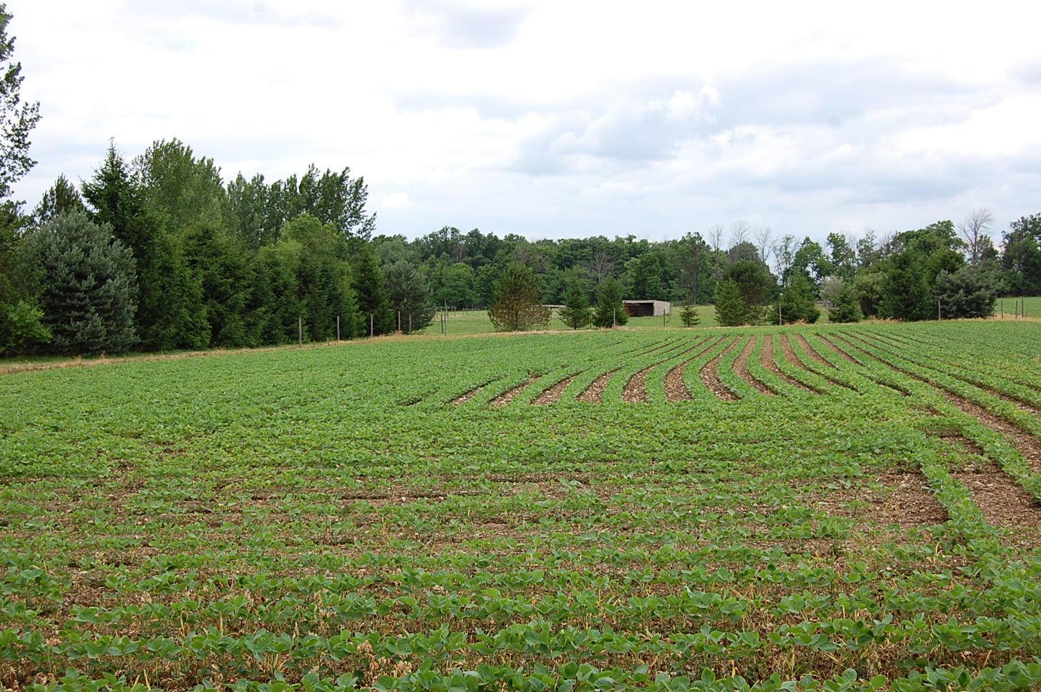2770 Grewell Road London, OH 43140 - Photo 27 of 37