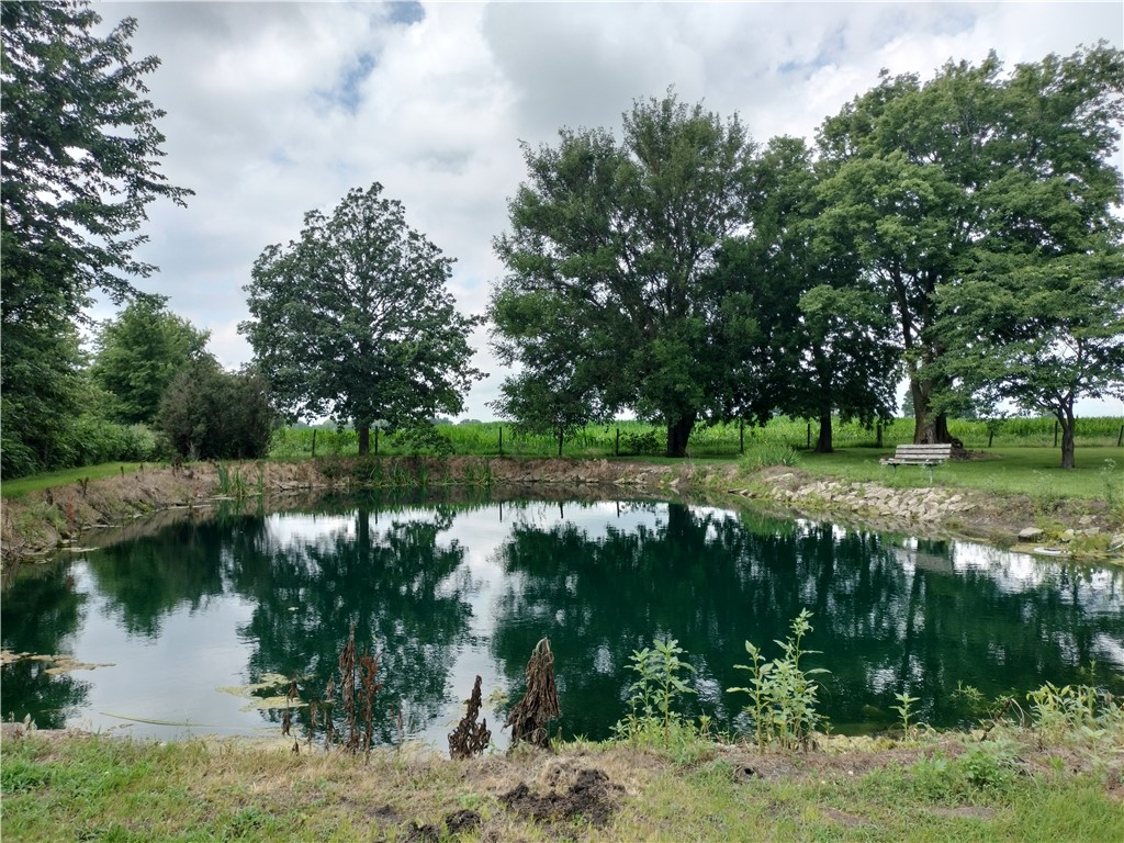 9663 Angle Crossing Road Argenta, IL 62501 - Photo 4 of 32