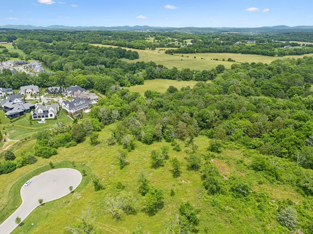 a view of a city with lush green forest