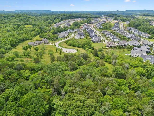 an aerial view of residential houses with outdoor space and trees