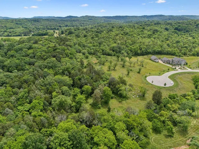 a view of a lush green forest with trees and some houses
