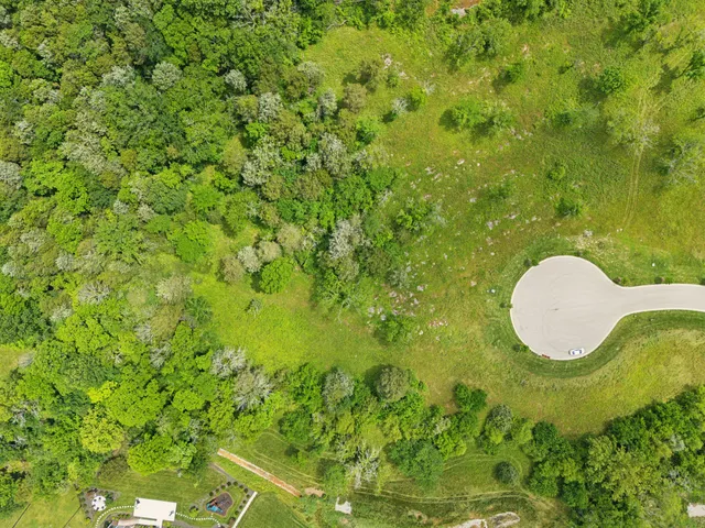 a view of a garden with a sink