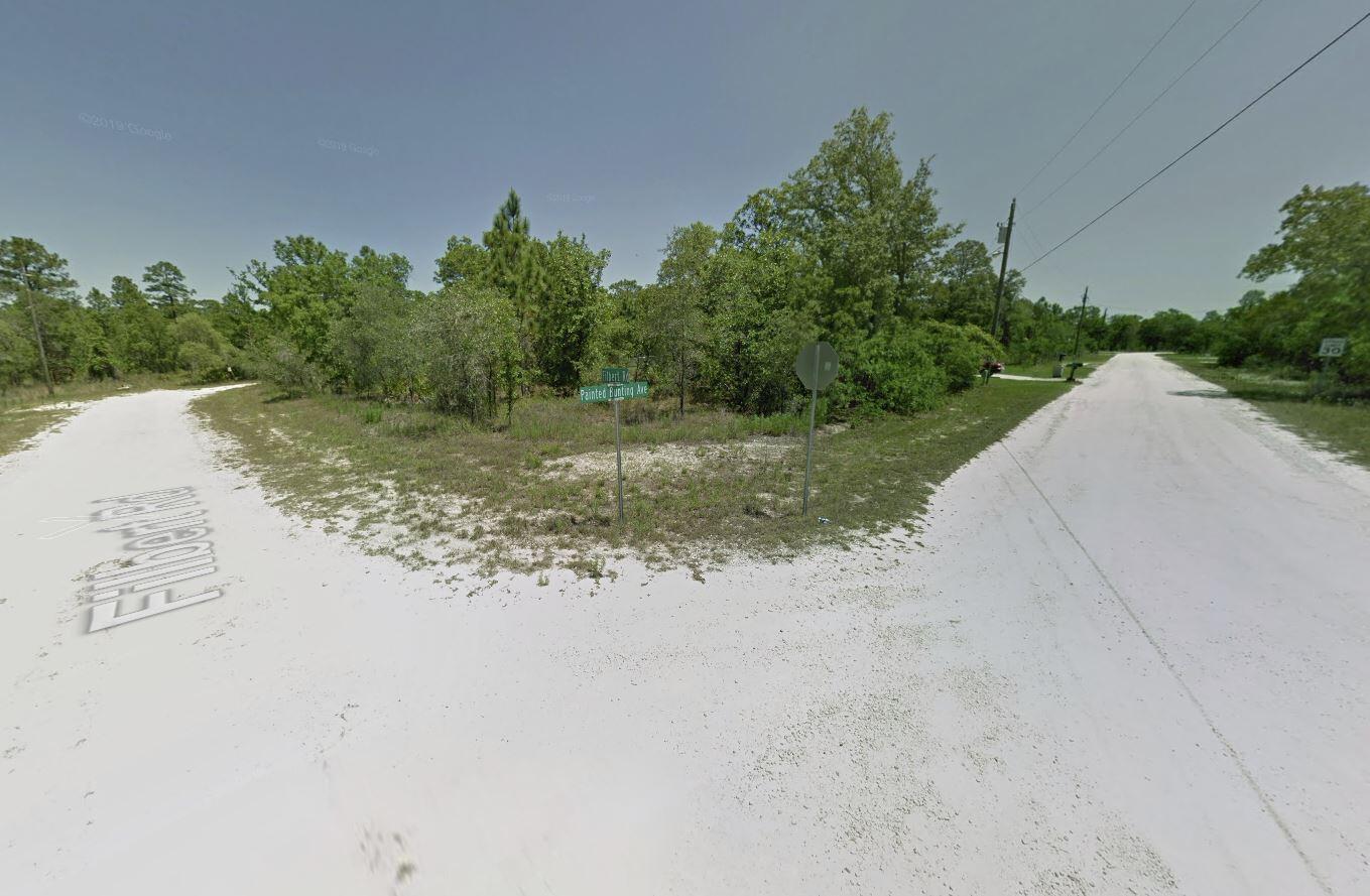 Tbd Tbd Filbert Road Weeki Wachee, FL 34614 - Photo 11 of 12 filbert2