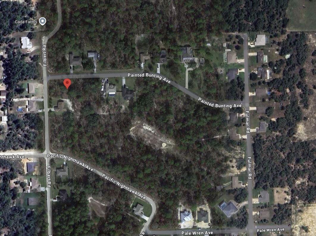 Tbd Tbd Filbert Road Weeki Wachee, FL 34614 - Photo 12 of 12 filbert