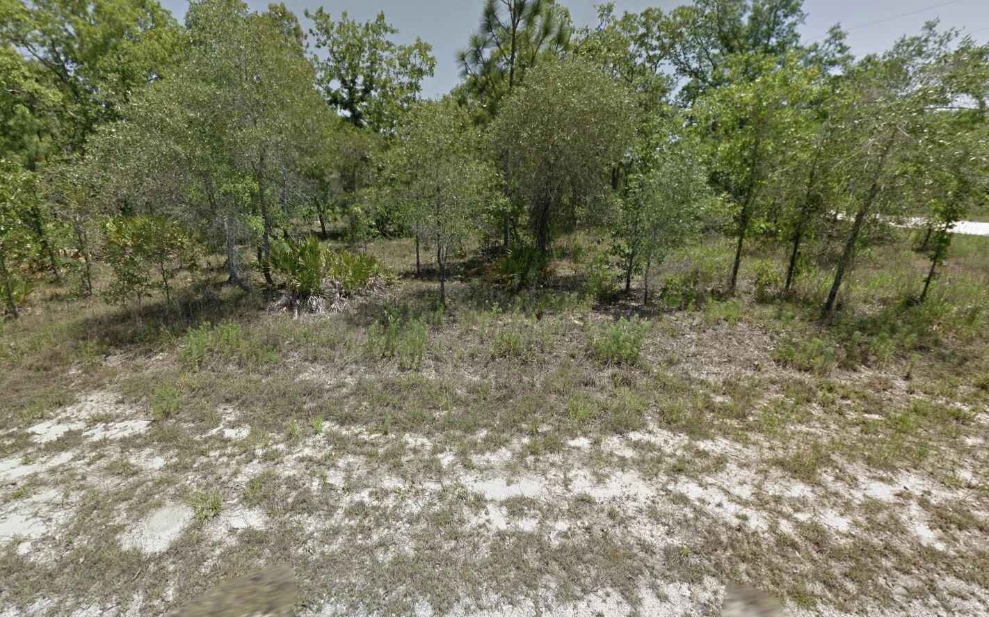 Tbd Tbd Filbert Road Weeki Wachee, FL 34614 - Photo 10 of 12 filbert4
