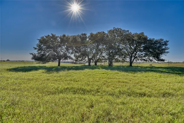 $665,505 | 6 Pacen Place, Chappell Hill, TX 77426
