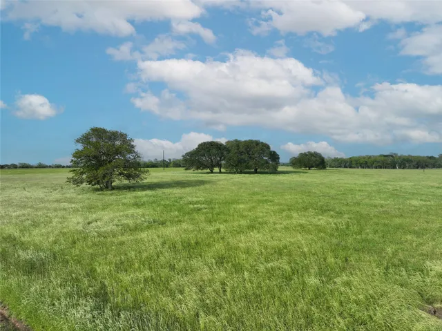 $665,505 | 6 Pacen Place, Chappell Hill, TX 77426