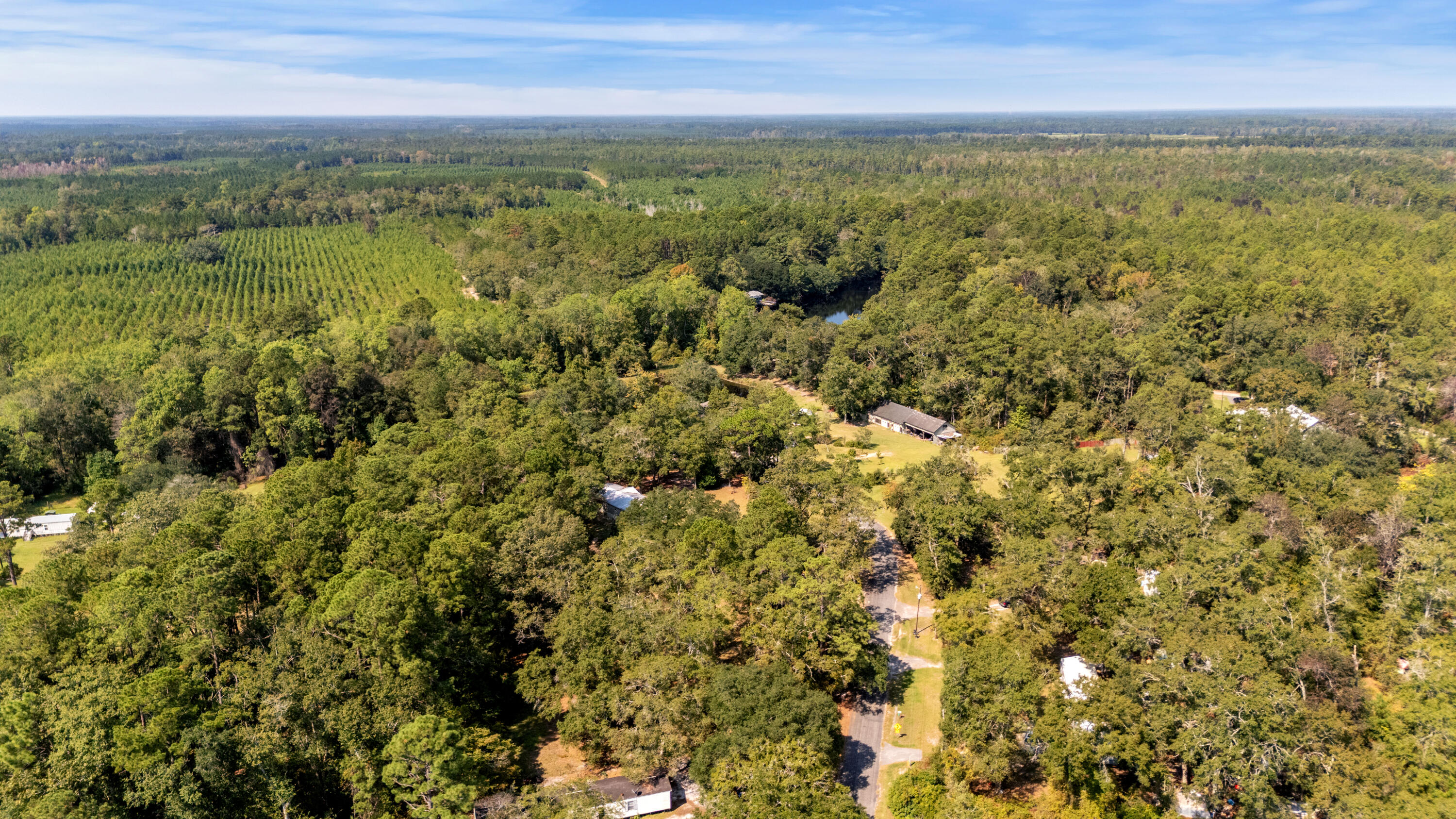 197 Davis Circle Walterboro, SC 29488 - Photo 29 of 33 DJI_20250918114654_0501_D