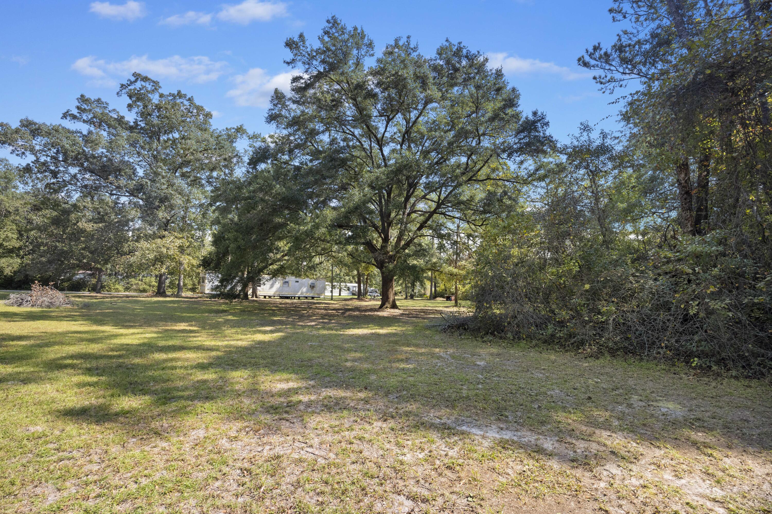 197 Davis Circle Walterboro, SC 29488 - Photo 6 of 33 243A8340