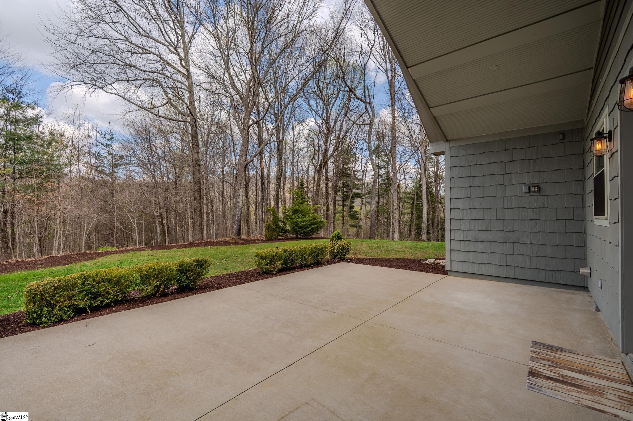 38 The Cliffs Parkway Landrum, SC 29356 - Photo 37 of 44