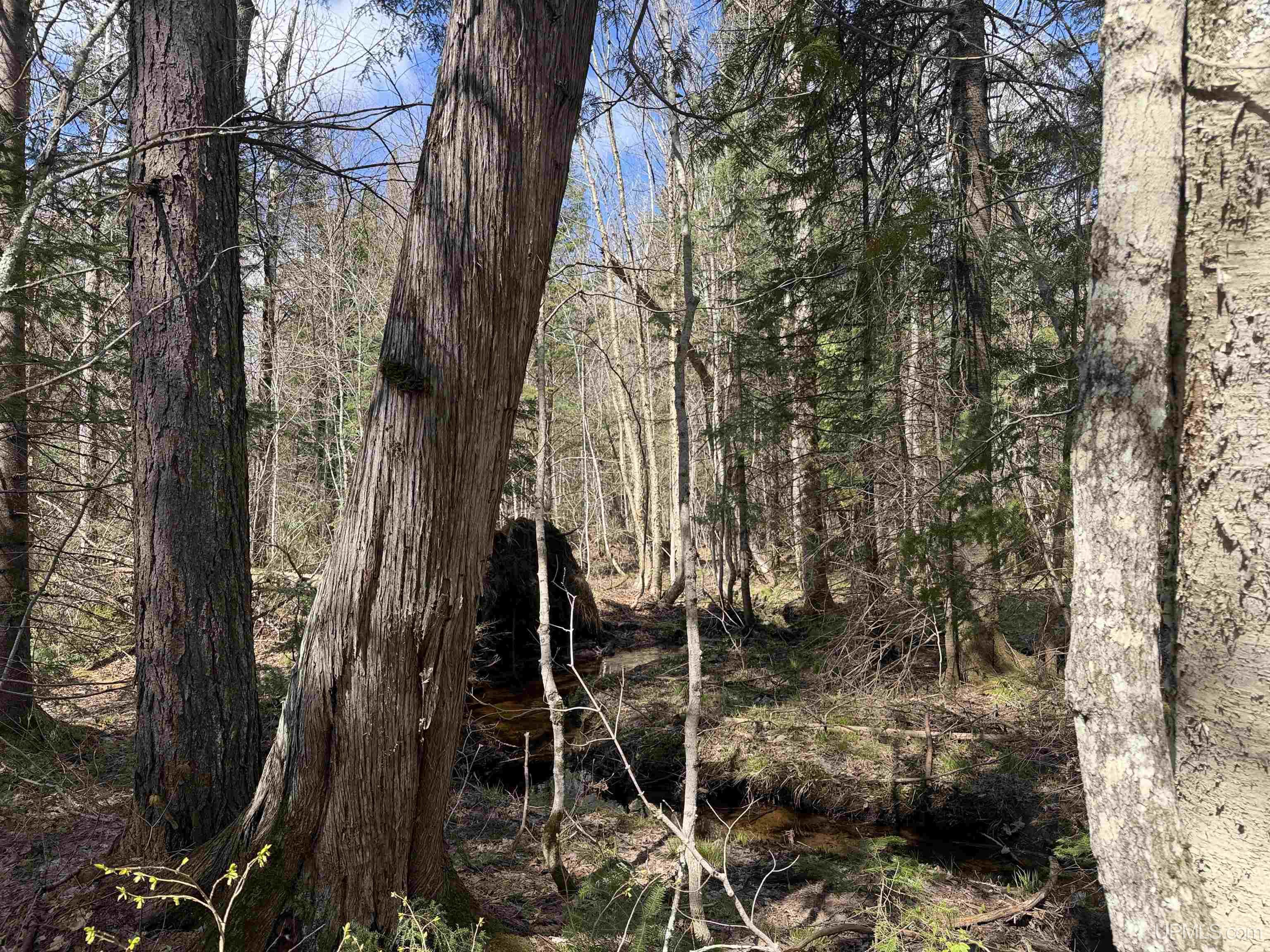 Off Black River Road Ironwood, MI 49938 - Photo 5 of 31