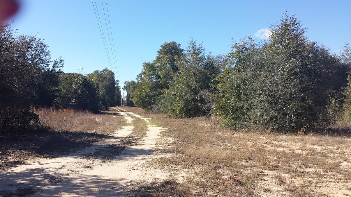 20301 Ring Road Fountain, FL 32438 - Photo 1 of 6 Drive Way