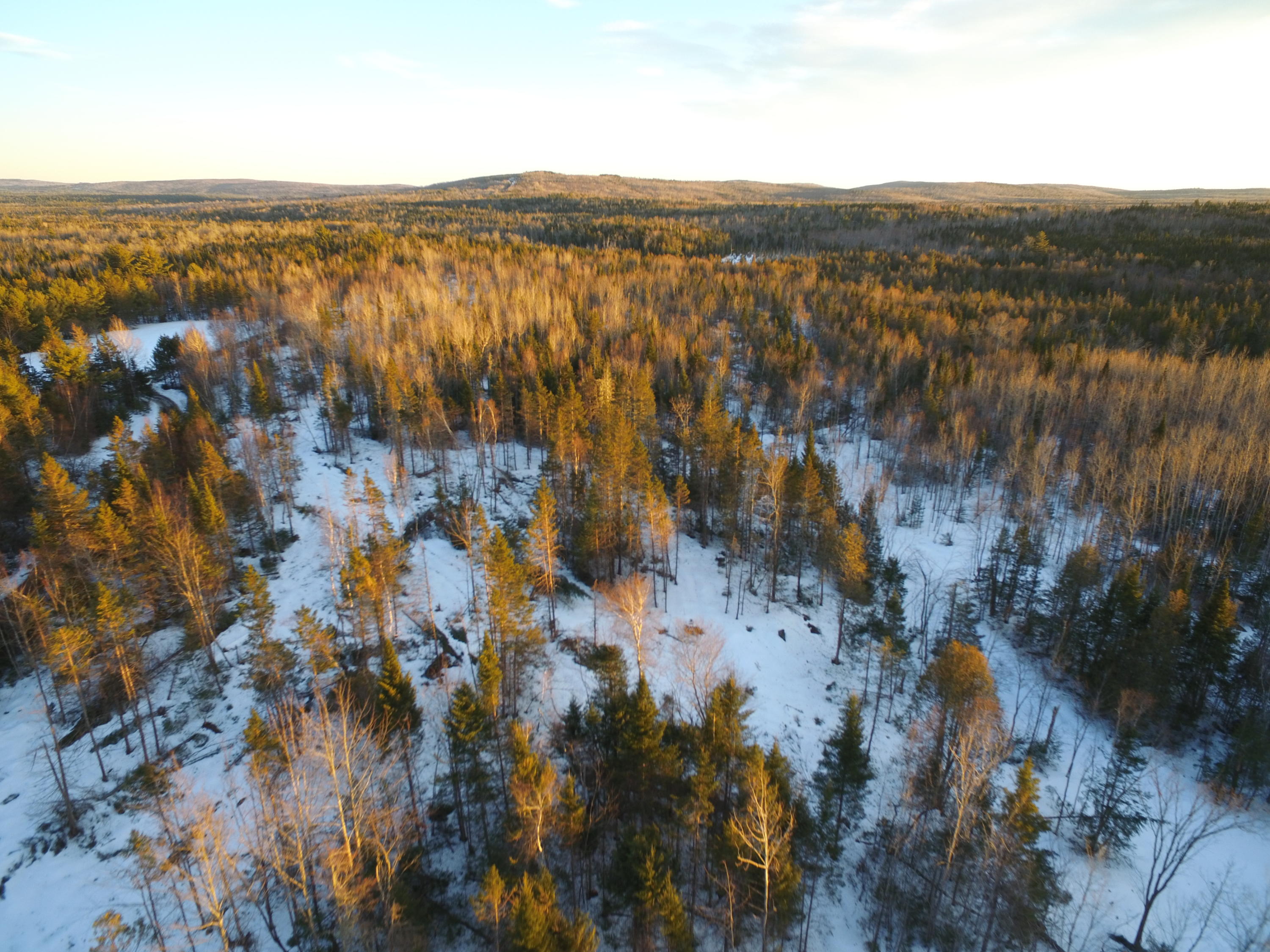 Lot 11.2 Off Tar Ridge Road Springfield, ME 04487 - Photo 5 of 16 DJI_0371