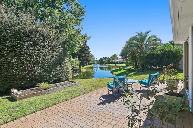 a view of a backyard with plants and chairs