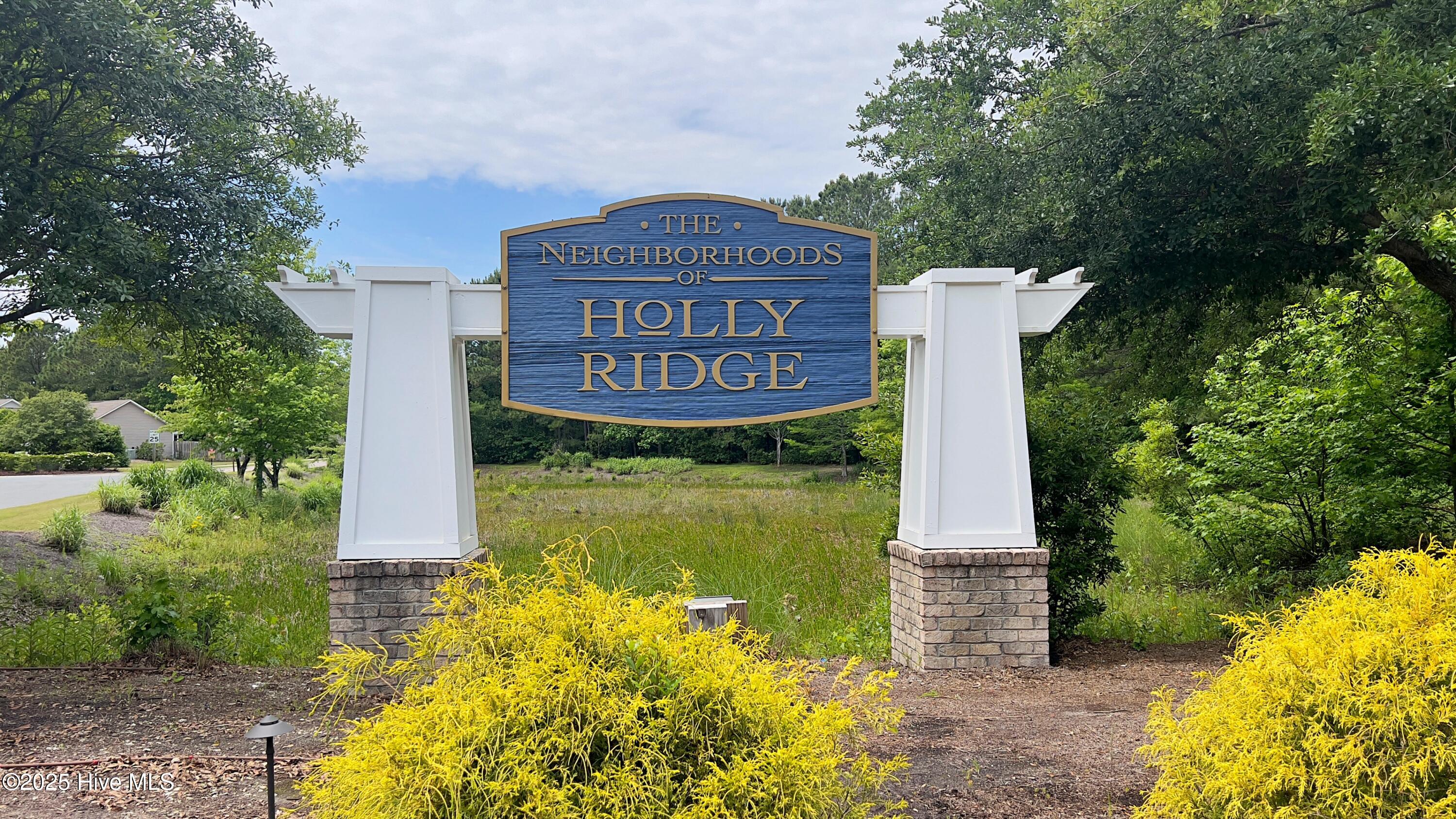 229 Red Carnation Drive Holly Ridge, NC 28445 - Photo 30 of 34 IMG_1014