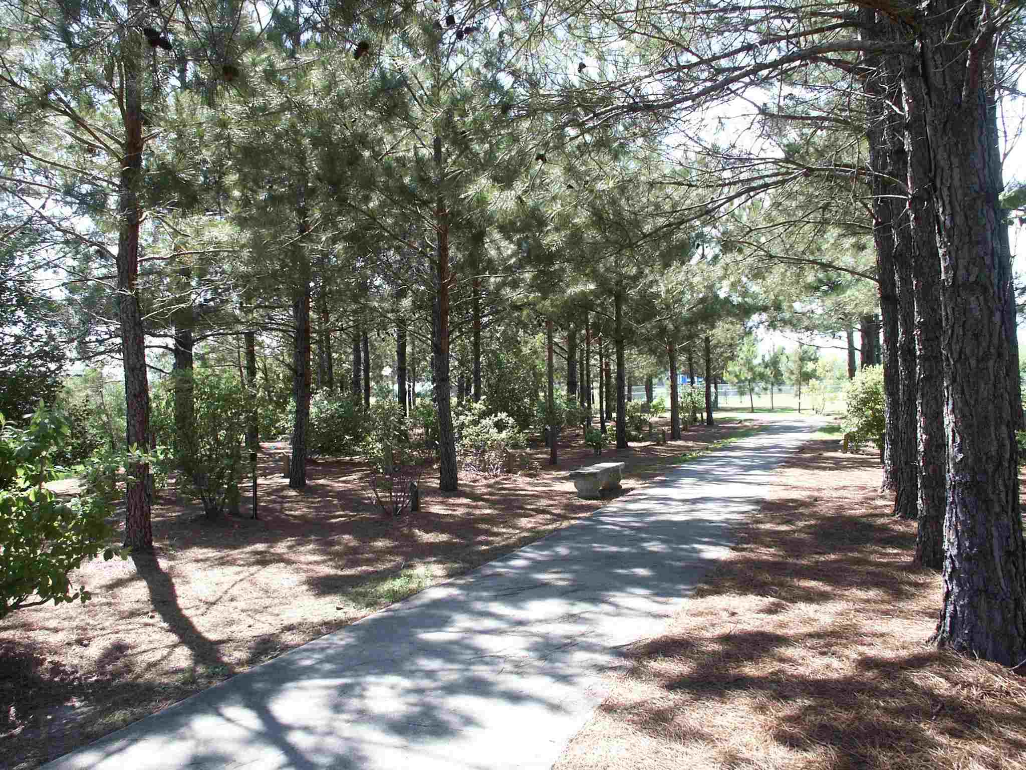 Lot 245 Rester Avenue Lillian, AL 36549 - Photo 10 of 10