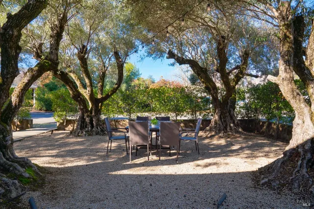 a view of outdoor space yard and patio