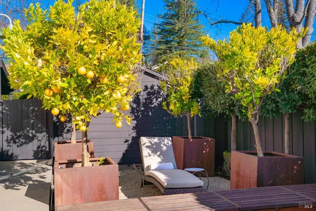 a view of backyard with a table and chair with wooden fence and plants