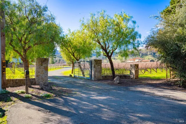 a view of a park with slide