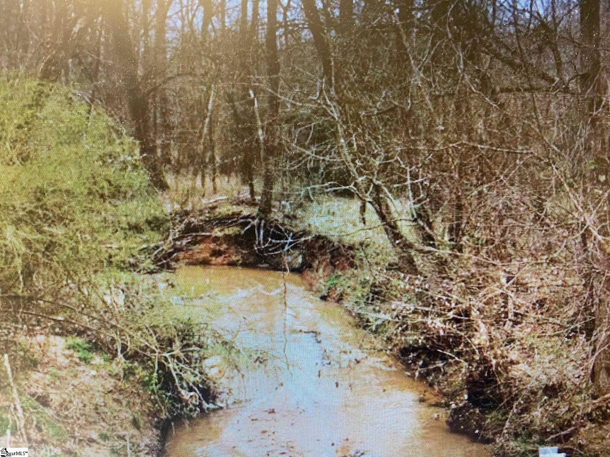 0 East Jerry Road Laurens, SC 29360 - Photo 2 of 14 Gallery Image 2