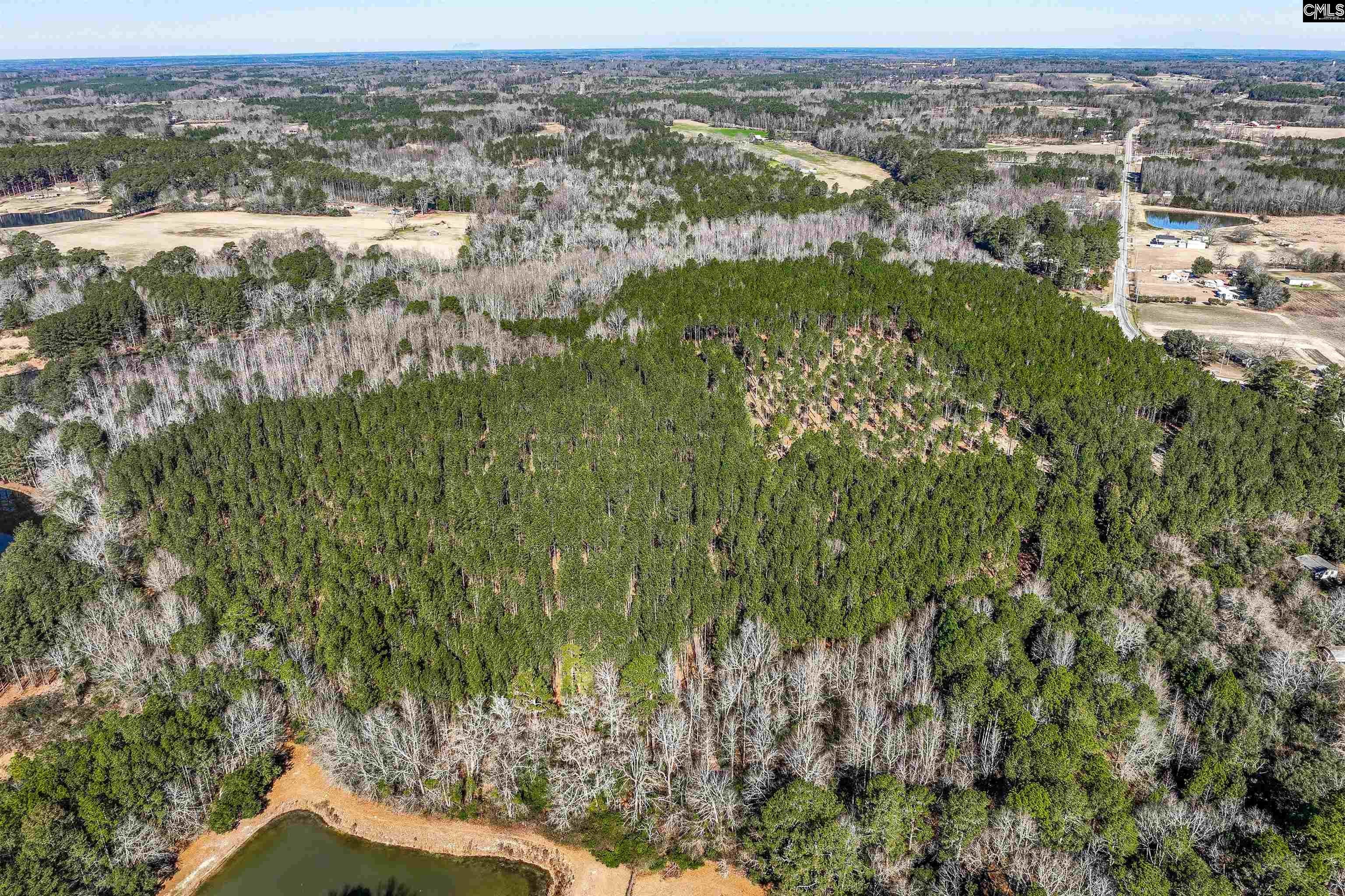Lot #5 Fairview Road, Unit 820007010 Batesburg, SC 29006 - Photo 19 of 33 Gallery Image 19