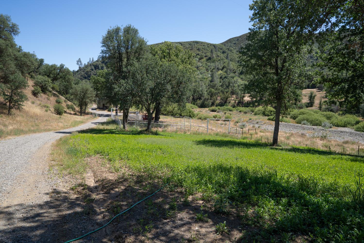 20505 Coalinga Road Paicines, CA 95043 - Photo 24 of 88