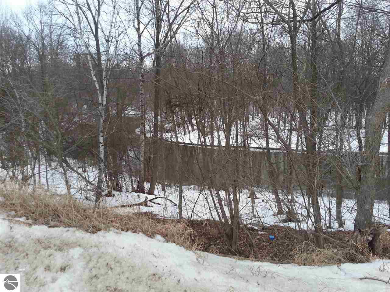 5000 East Valley Road Mount Pleasant, MI 48858 - Photo 5 of 18 1781863-4.JPG