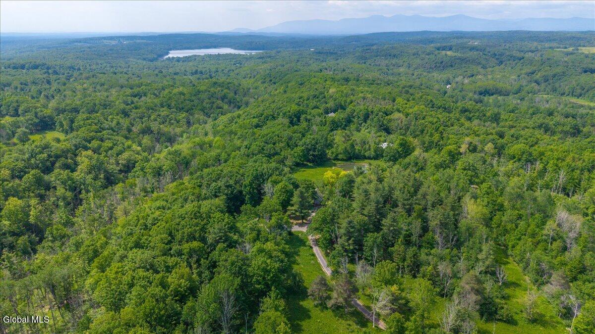 9 Gibson Road Westerlo, NY 12193 - Photo 52 of 56 55-gibson-14