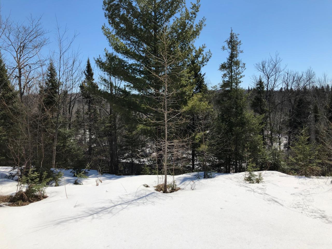 Off West Harding Road Bessemer, MI 49911 - Photo 24 of 30 Gallery Image 24