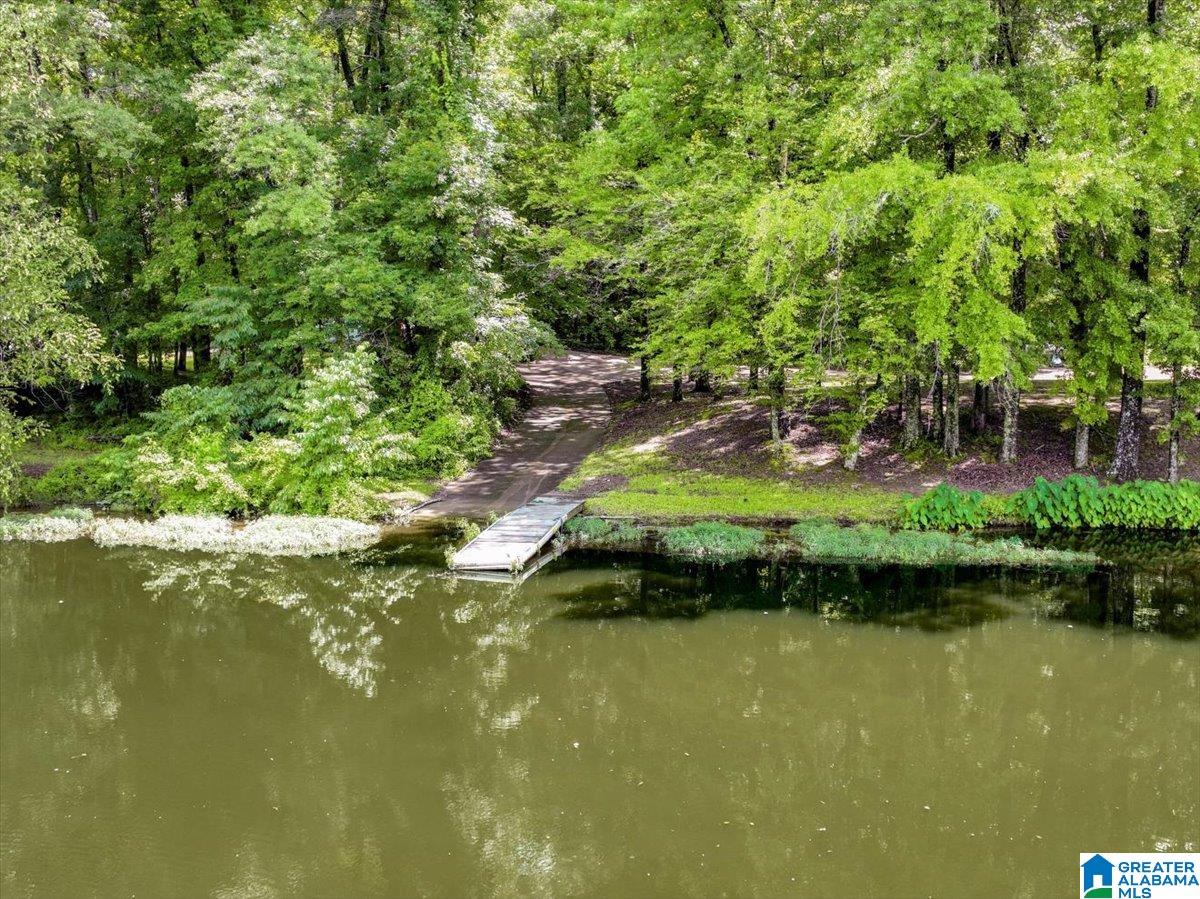 526 Boat Launch Road Quinton, AL 35130 - Photo 38 of 56