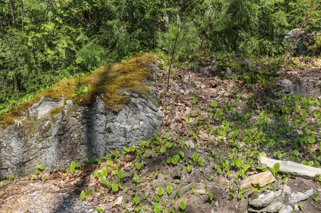 $479,000 | 1300 Belfast Road, Knox, ME 04986