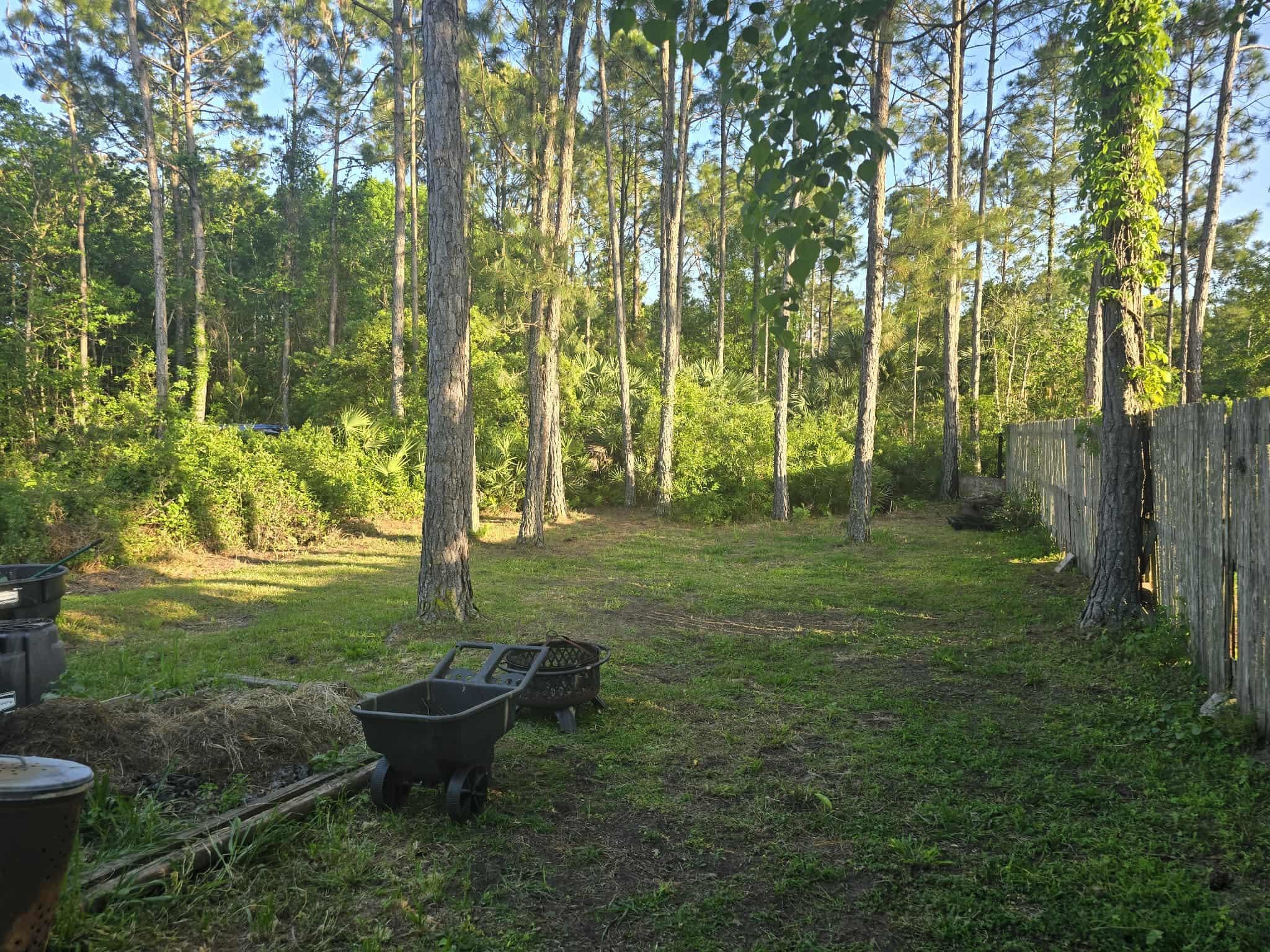 921 Avery Street St. Augustine, FL 32084 - Photo 27 of 29 a view of a backyard with garden