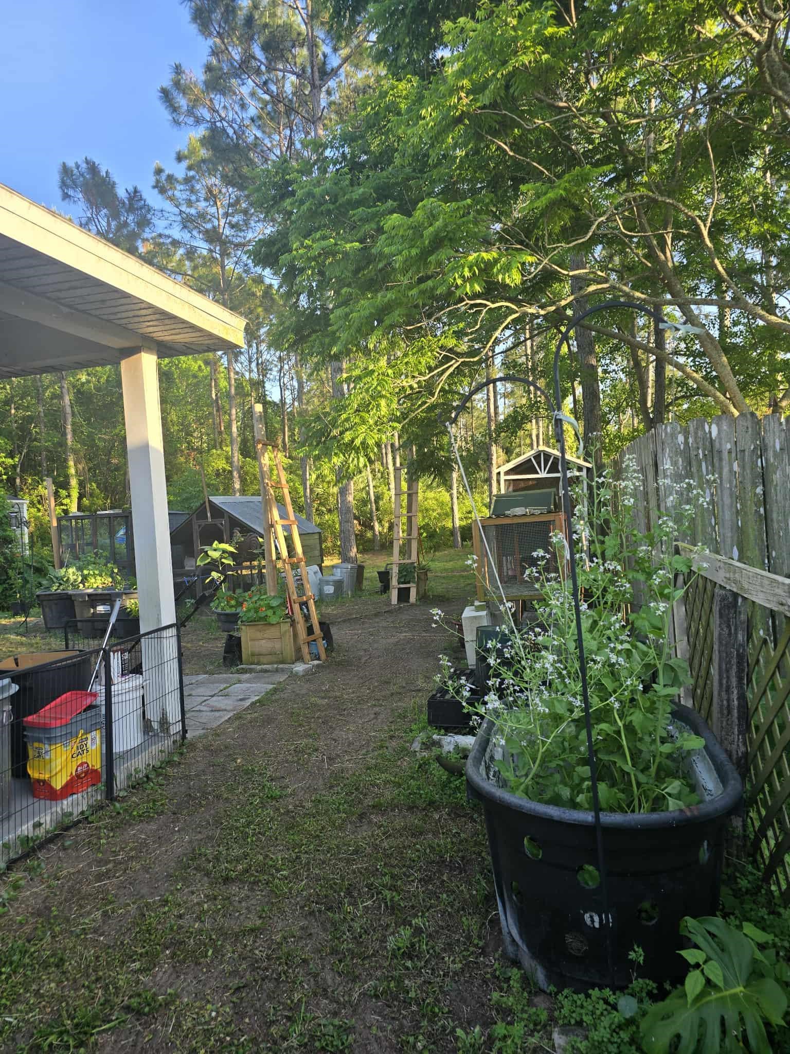 921 Avery Street St. Augustine, FL 32084 - Photo 28 of 29 a view of outdoor space and garden