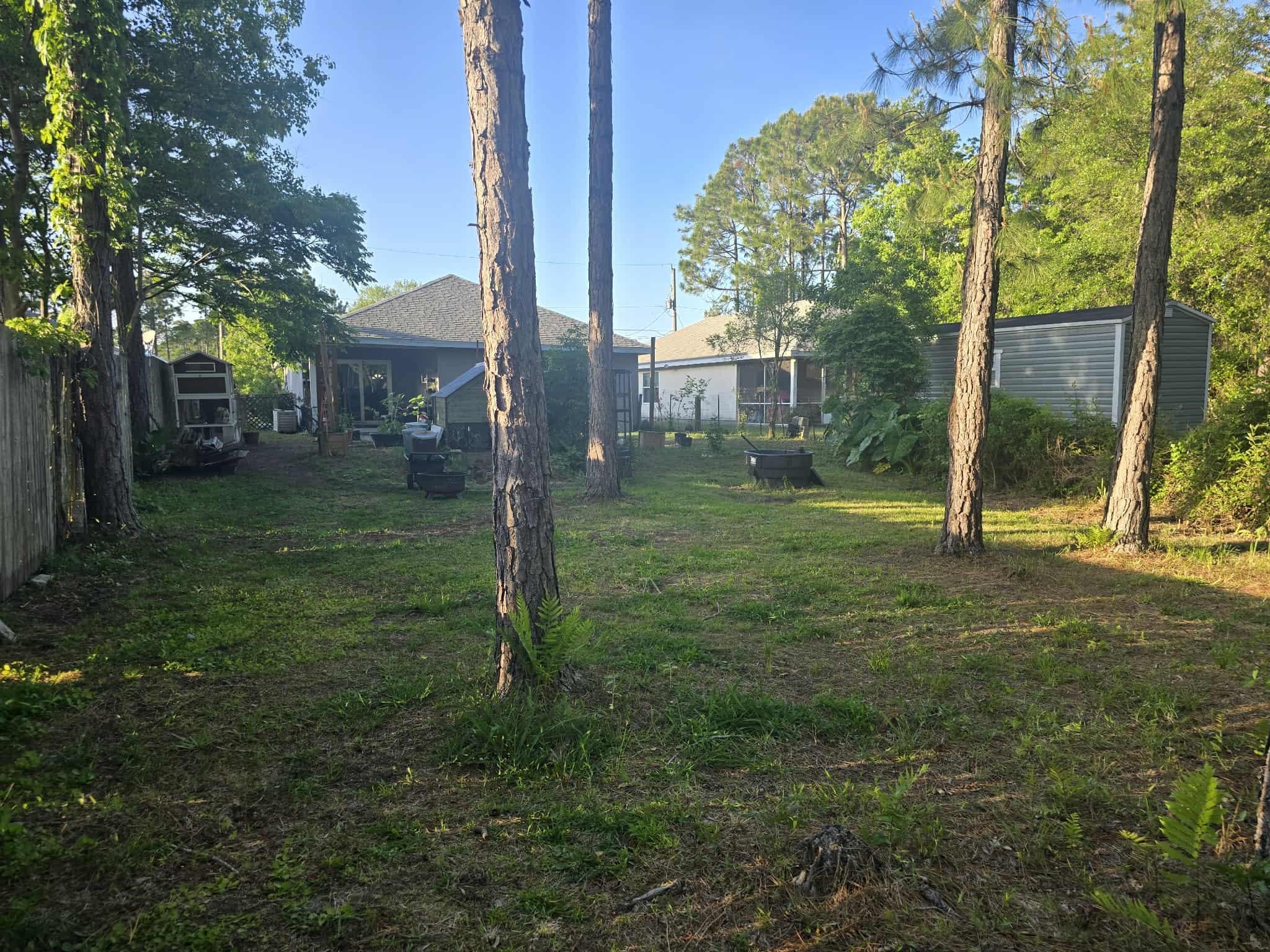 921 Avery Street St. Augustine, FL 32084 - Photo 8 of 29 a view of a trees in a yard